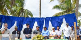 Foto: Grandes expectativas con reconstrucción en Haulover / TN8