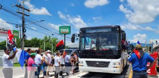 Foto: Nuevas unidades de buses chinos pasan por León / TN8