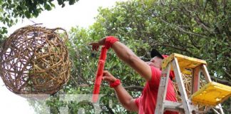 Nandaime se ilumina: El espíritu navideño llega con luces y alegría