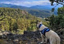 Foto: Tragedia en Blackhead Peak, Estados Unidos: Excursionista Muerto, Perro Sobrevive / Cortesía