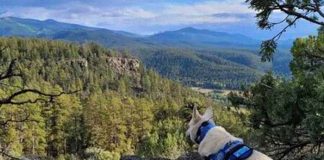 Foto: Tragedia en Blackhead Peak, Estados Unidos: Excursionista Muerto, Perro Sobrevive / Cortesía