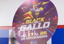 Foto: Arranca el Black gallo con descuentos y promociones para todas las familias / TN8