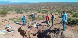 Foto: Increíble hallazgo en Argentina /cortesía