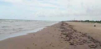 Foto: ¡Horror en EEUU! Encuentran cuerpo desmembrado en playa de Rockaways/Cortesía