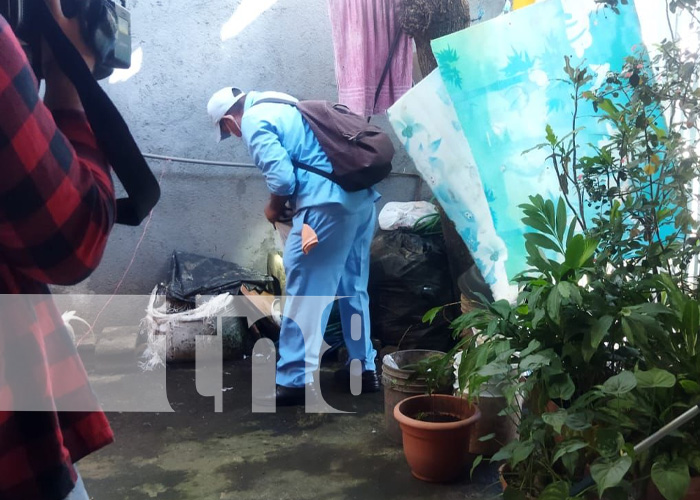 Foto: Brigadas médicas visitan el barrio 22 de enero, del distrito V en Managua /Tn8