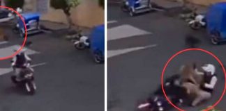 Foto: Inocente perrito salta y aterriza sobre un motociclista /cortesía