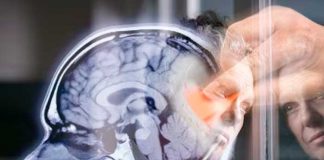 Foto: ¿Es tu tipo de sangre un factor clave en tu salud cerebral? /cortesía