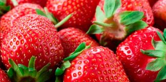 Foto: ¿Qué son los diminutos puntos en la superficie de las fresas?/Cortesía