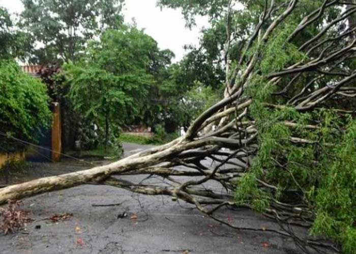 7 muertos y casas destrozadas deja tormenta en Brasil