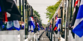 Foto: Entrega de 250 buses de parte de China para Nicaragua / TN8