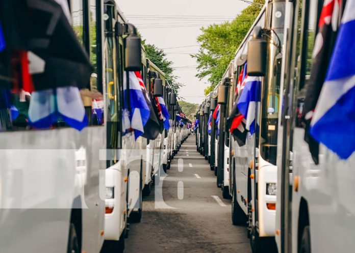 Foto: Entrega de 250 buses de parte de China para Nicaragua / TN8