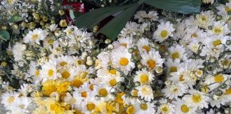 Foto: Comercio de flores activado en Granada / TN8