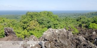 Foto: Mirador en la Isla de Ometepe / TN8