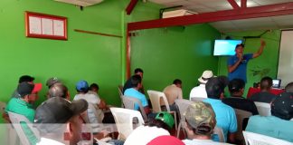 Foto: Capacitación para productores de plátano en la Isla de Ometepe / TN8