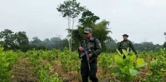 Foto: Colombia deroga las multas por posesión de pequeñas cantidades de droga en espacios públicos/Cortesía