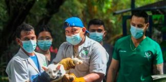 Foto: Itzae y una de sus hermanitas se encuentran en un área de recuperación/Cortesía