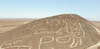 Foto: Descubren en Perú 29 nuevos geoglifos con forma de felinos y seres antropomorfos/Cortesía