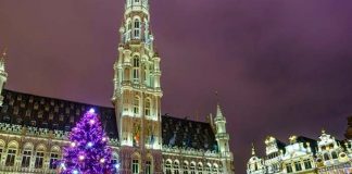 Foto: Fatalidad en Bélgica: Árbol de Navidad mata a mujer durante tormenta / Cortesía