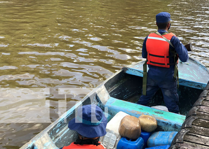 Foto: Incautadas 9.13 libras de marihuana en el Caribe Sur/TN8