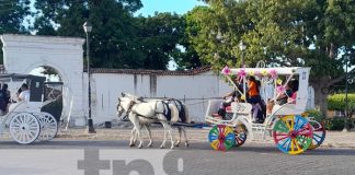 Descubre la magia de Granada: Arte, historia y diversión en un solo lugar