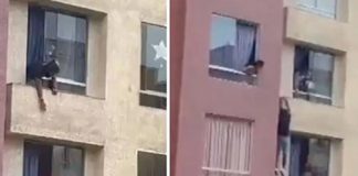 Hombre evitaba que una joven saltará de un edificio y terminó cayendo