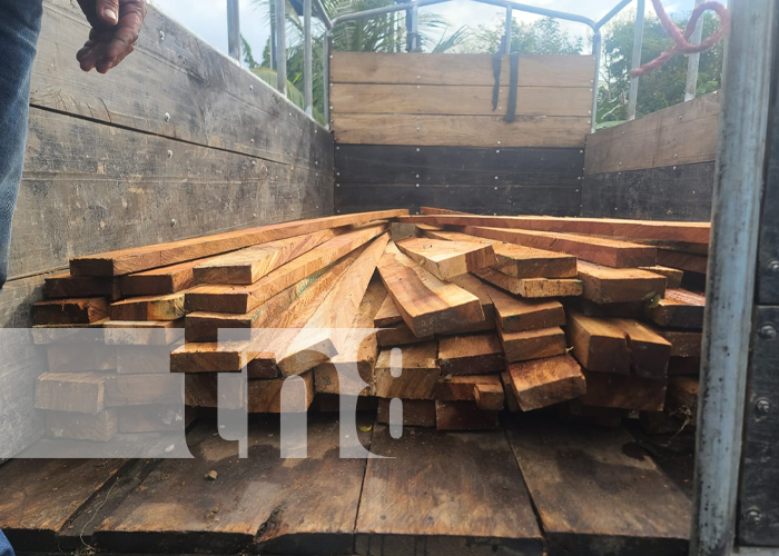 Foto: Incautación de madera ilegal en Matiguas/Tn8