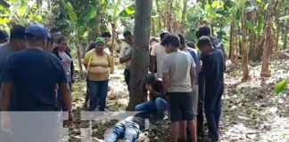 Ciudadano pierde la vida al caer de un árbol en San Marcos, Carazo