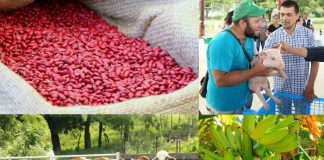 Foto: ¡Boom Económico en Nicaragua! Un desarrollo notable impulsa el futuro del país / Cortesía