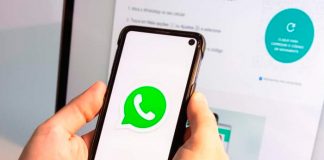 Foto: ¡WhatsApp introduce insignias de verificación especiales para empresas!/Cortesía