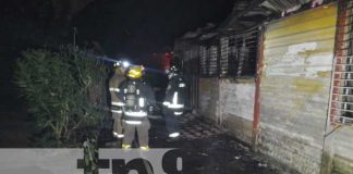 Foto: ¿Imprudencia o cortocircuito? Señalan a hombre de provocar incendio en carretera sur/TN8