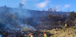 Foto: Devastador incendio forestal en Ecuador afecta la Reserva Ecológica El Ángel/Cortesía