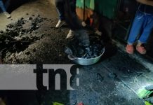 Carbón encendido desata alerta de incendio en el Mercado Oriental, Managua