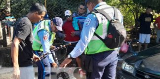 Foto; Ciclista de la tercera edad, con graves lesiones tras accidente de tránsito en Granada/Tn8