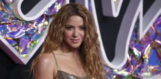 Arrestan en Miami al acosador de Shakira "quería entrar a su casa"