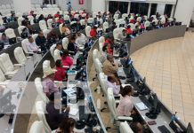 Foto: Sesión parlamentaria en la Asamblea Nacional de Nicaragua / TN8