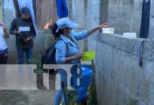 Foto: Abatización en barrios de Managua / TN8