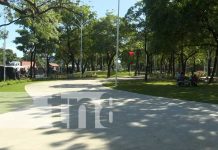 Foto: Avanza construcción de nuevo paseo en el corazón de Managua / TN8