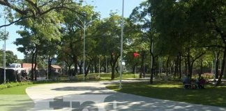 Foto: Avanza construcción de nuevo paseo en el corazón de Managua / TN8