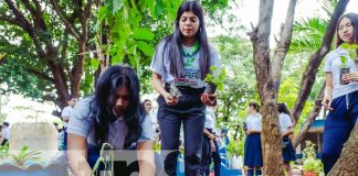 Foto: Reforestación con estudiantes de Managua / TN8