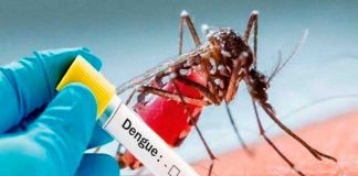 Nicaragua presenta menos contagios en Dengue, Neumonía y Leptospirosis