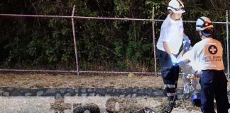 Foto: Motociclista pierde la vida tras impactar con una base de concreto en Managua/TN8