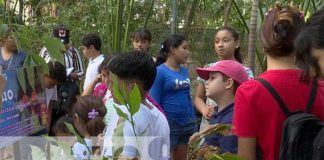 Foto: Niños del distrito VII aprenden a cuidar la reserva natural en el Arboretum Nacional/Cortesía