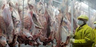 Foto: Retiran lote de carnes defectuosas de supermercados en Nicaragua