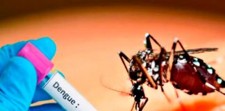 Foto: Brasil, Argentina y Uruguay afectados por dengue /cortesía