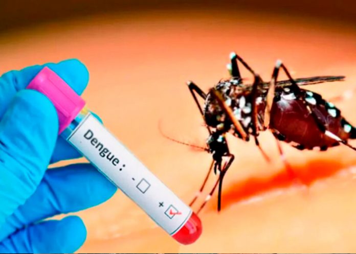Foto: Brasil, Argentina y Uruguay afectados por dengue /cortesía