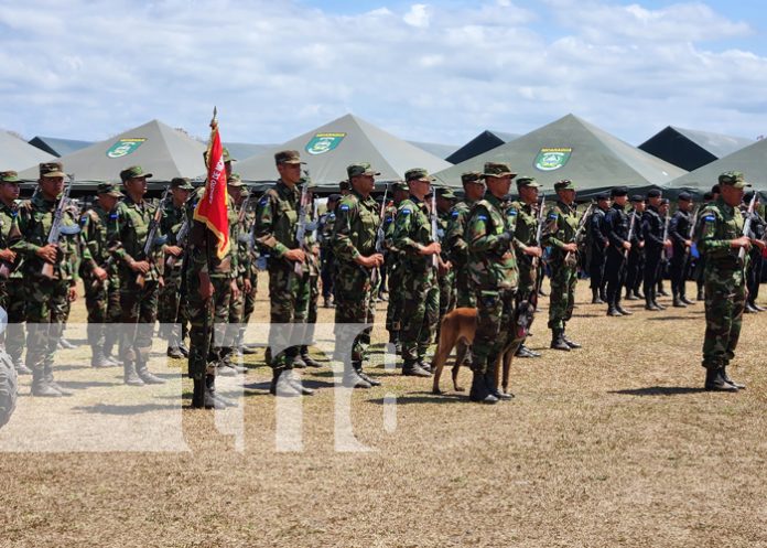 Foto: Ejército de Nicaragua realizó el cierre de la cosecha cafetalera 2023-2024/TN8