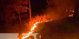 Foto: Incendio forestal en comunidades de Ciudad Antigua, Nueva Segovia / TN8