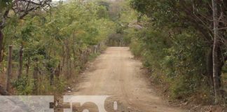 Foto: Mejoramiento de caminos en la zona rural de Nandaime / TN8