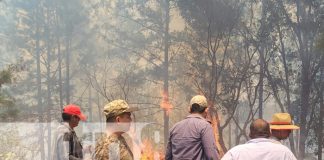 Foto: Brigadas logran controlar incendio forestal en zona fronteriza de Somoto en Madriz/TN8