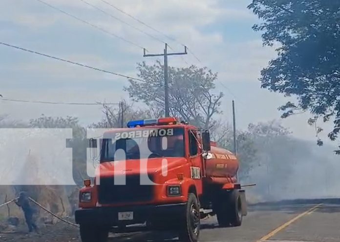 Foto: Mano del hombre, es el principal causante de los incendios forestales en Rivas/TN8